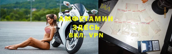 индика Алексеевка