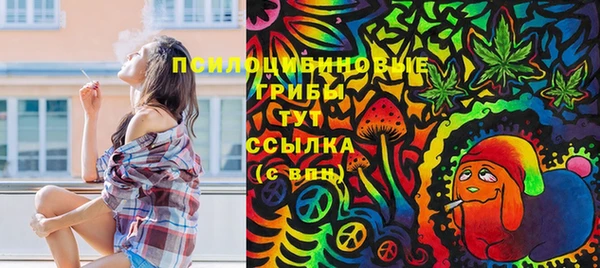 индика Алексеевка