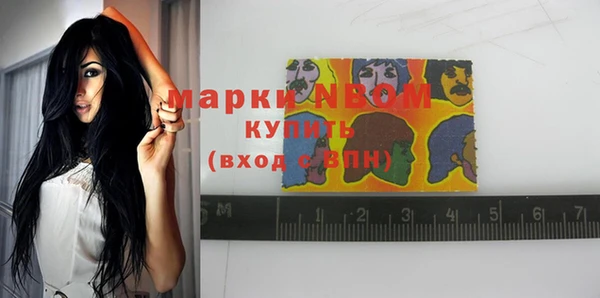 индика Алексеевка