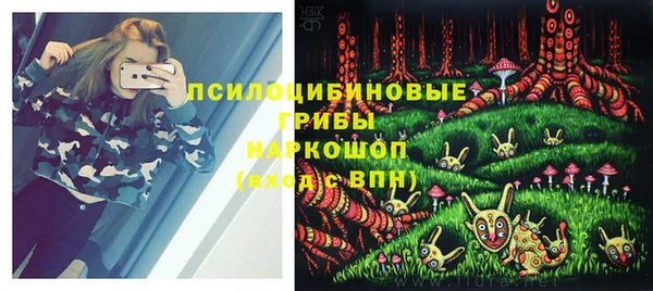 индика Алексеевка
