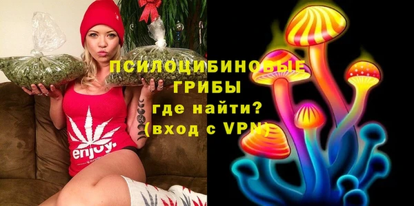 Альфа ПВП Алзамай