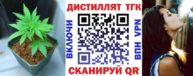 маркетплейс клад  Ветлуга  ТГК THC oil 