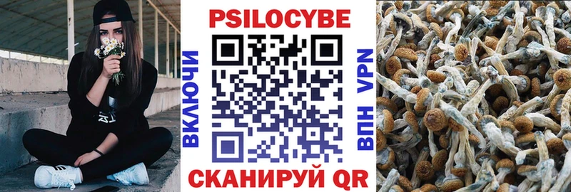 Псилоцибиновые грибы Magic Shrooms  Ветлуга 